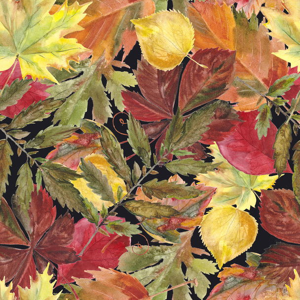 Watercolor seamless background leafs. Autumn - Photo, Image