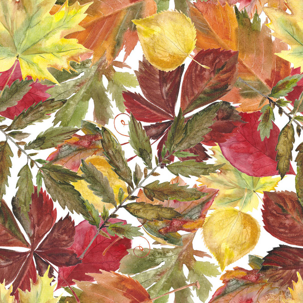 Watercolor seamless background leafs. Autumn. White - Photo, image