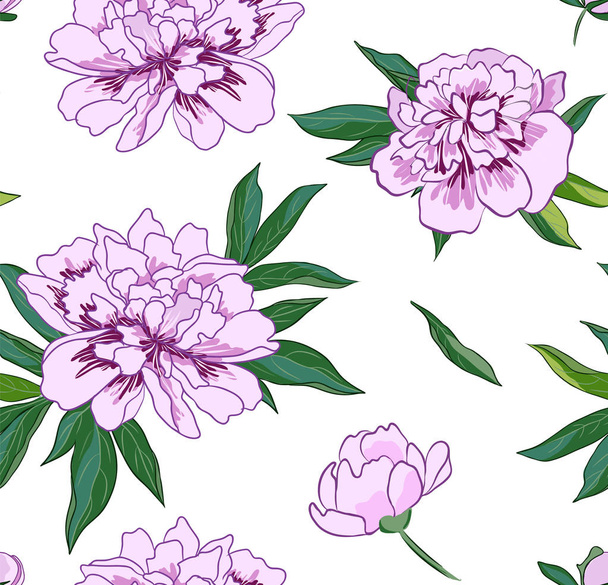 Vector seamless pattern with pink peony flowers on white background. - Vector, Image