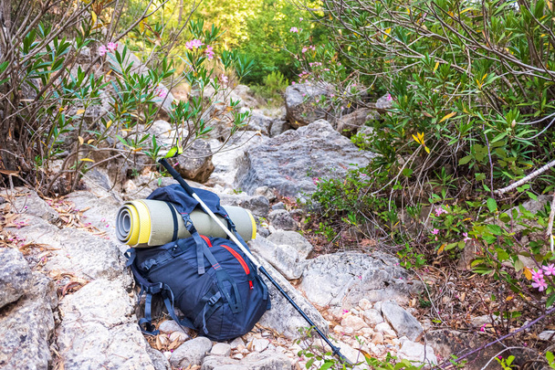 Sac à dos équipé pour le camping gratuit dans les montagnes, sur certains roc
 - Photo, image