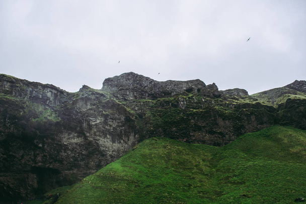 Gabbiani che sorvolano rocce grigie ricoperte di muschio verde in Islanda. Nubi forti e piovose
 - Foto, immagini