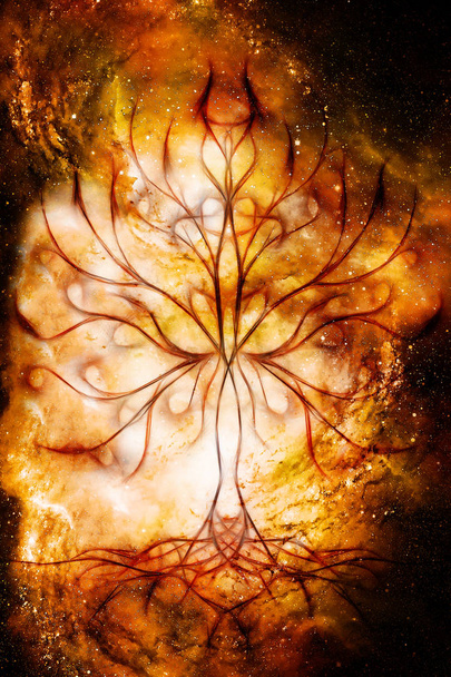 árbol de símbolo de la vida en el fondo estructurado y espacio, patrón de flor de la vida, yggdrasil. - Foto, Imagen