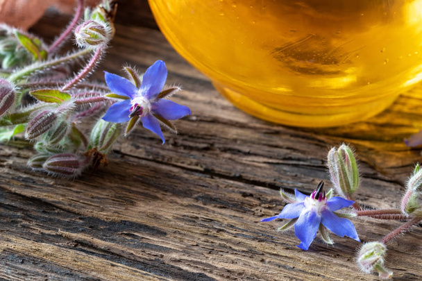 Kwitnące rośliny ogona i olej na stole - Zdjęcie, obraz