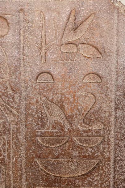 Hieróglifos em Memphis, Cairo, Egito
 - Foto, Imagem