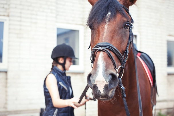 Lustige Pferdeschnauze bei Teenie-Reiterin - Foto, Bild