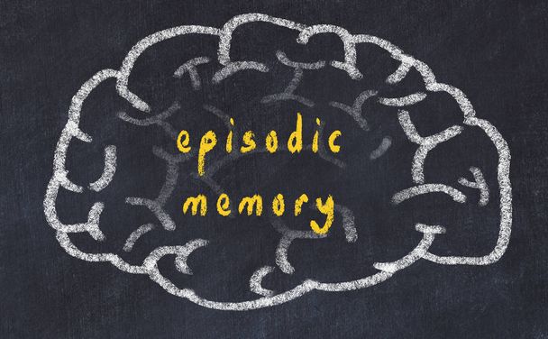 Drawind of human brain on chalkboard with inscription episodic memory - Photo, Image