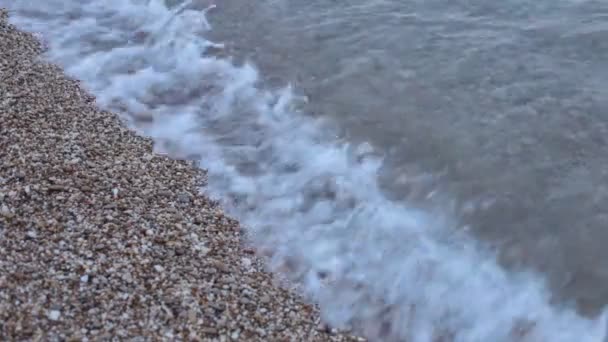Piccole onde sulla costa del marespiaggia di ghiaia marea
 - Filmati, video