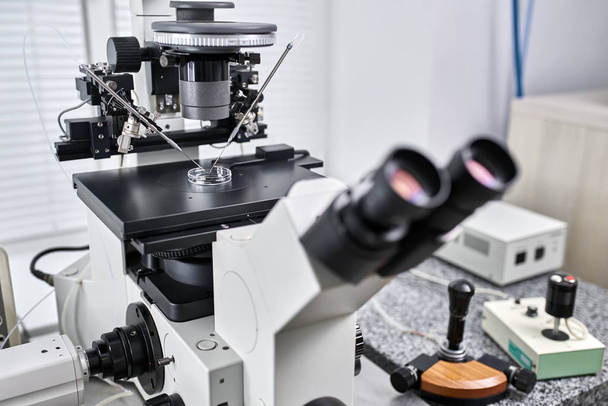 Process of in vitro fertilization in laboratory - Foto, Bild