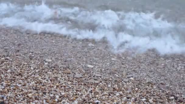 Deniz kıyısında küçük dalgalar çakıl plaj gelgit - Video, Çekim