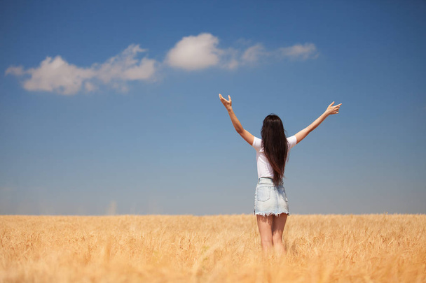 Happy woman enjoying the life in the field Nature beauty, blue cloudy sky and colorful field with golden wheat. Outdoor lifestyle. Freedom concept. Woman in summer field - Photo, image