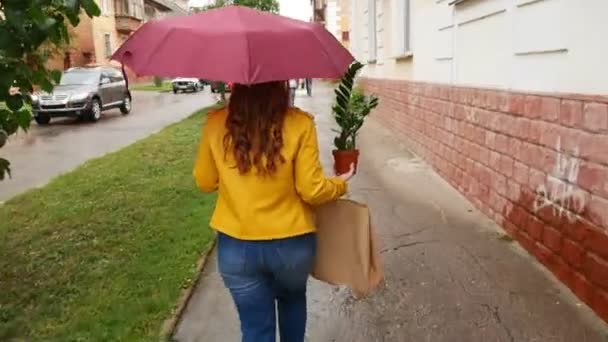 Egy lány egy esernyő sétál a város körül egy növény. Esik az eső. - Felvétel, videó