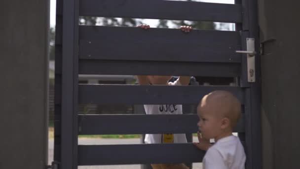 庭のフェンスに登る彼女の男の子の息子の兄弟と若い母親 - 家族は暖かい色の夏のシーンを値 - 映像、動画