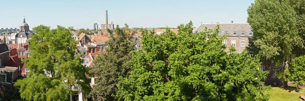 Panoramafoto von Dächern und Bäumen der holländischen Stadt leiden in Summa - Foto, Bild