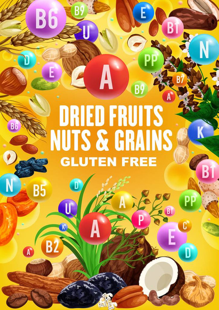 Dried fruits, nuts, cereal grains, beans vitamins - Vector, Image