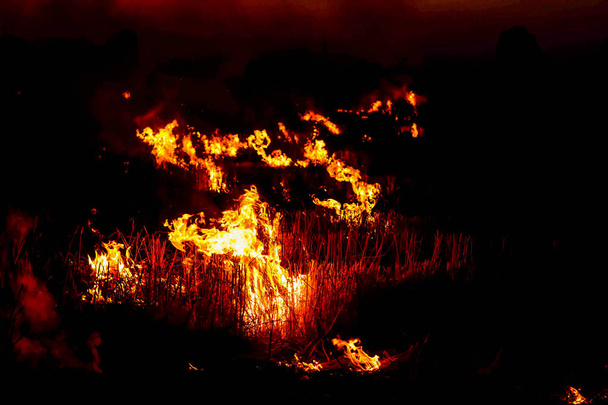 Огонь горит на лугу ночью.
. - Фото, изображение