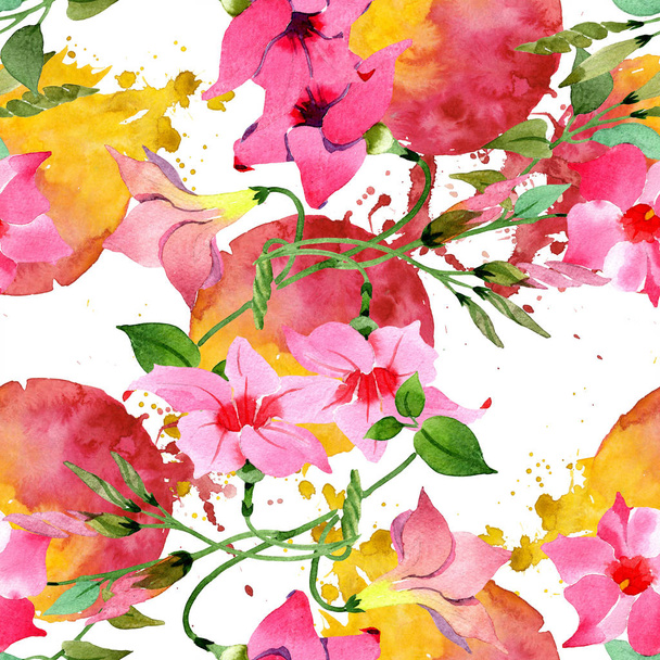 ピンクのマンデヴィラの花の植物の花。●水彩イラスト背景セット。シームレスな背景パターン. - 写真・画像