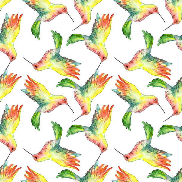 Himmelsvogel colibri in einer Tierwelt. Aquarell Hintergrundillustration Set. nahtloses Hintergrundmuster. - Foto, Bild