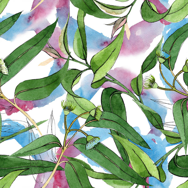 Květinové botanické květy eukaliptus. Vodný obrázek pozadí-barevný. Bezespání vzorek pozadí. - Fotografie, Obrázek