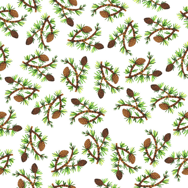 Colorful hand-drawn pattern of pine tree branches with pine cones - Foto, immagini