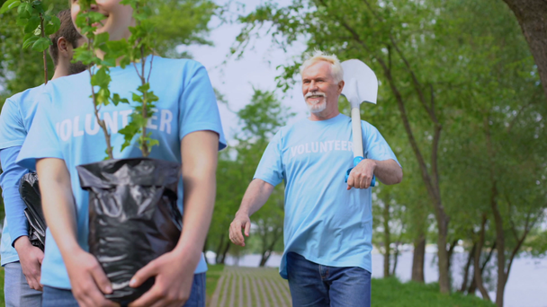 責任あるエコ活動家は、緑の木の苗木シャベルを保持する公園の道を歩く - 映像、動画