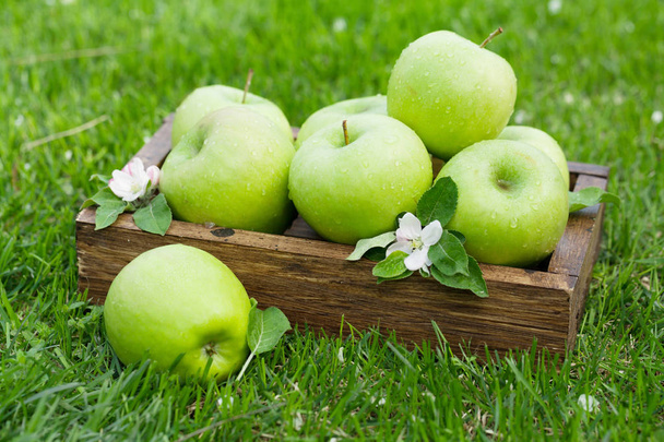 Tuore puutarha vihreät omenat laatikossa
 - Valokuva, kuva