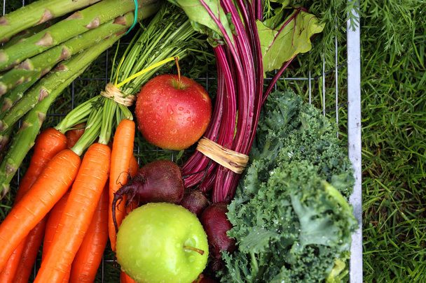 Βιολογικά λαχανικά. Πράσινα, υγιή συστατικά της δίαιτας. - Φωτογραφία, εικόνα