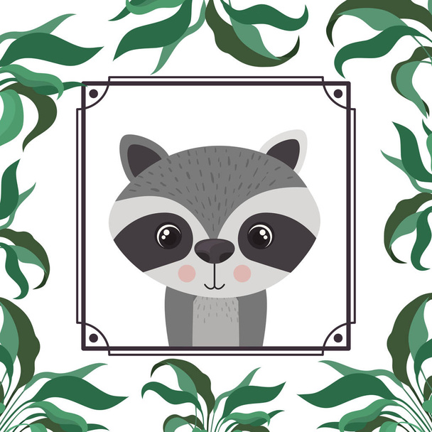 cute and adorable raccoon with frame - Vector, Image