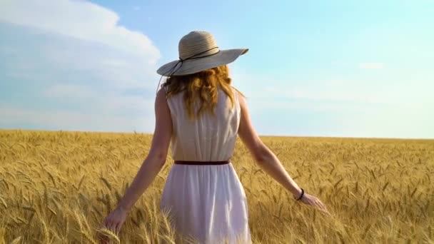 back view of young woman in dress and big hat walking on wheat field in summer - Кадры, видео