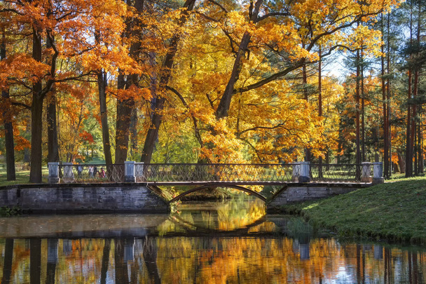Golden Autumn in Catherine Park, Tsarskoye Selo. The city of Pushkin, Leningrad region. - Foto, Imagen