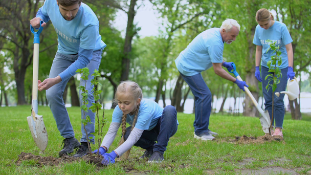 Rodinné dobrovolníci v životním prostředí sadí stromy, které se usmívají - Záběry, video
