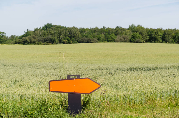 Sla rechtsaf de weg in een boeren veld - Foto, afbeelding