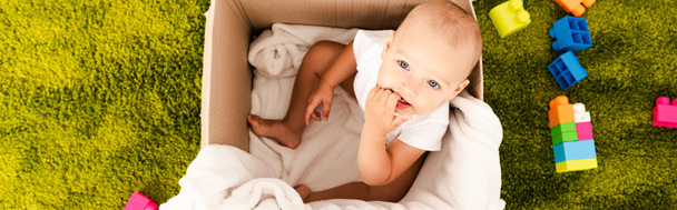 Panoramic shot of funny little child sitting in cardboard box and taking hand into mouth - Фото, изображение