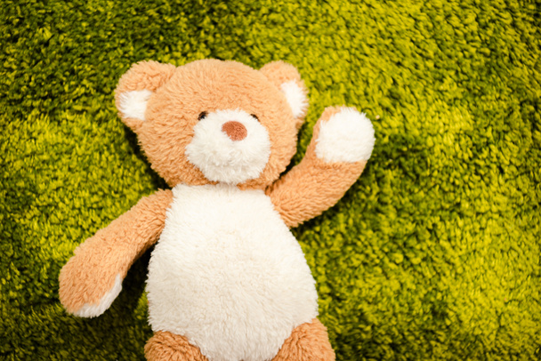 Top view of plush teddy bear on green soft carpet - Foto, Imagem
