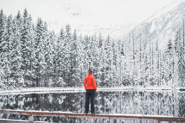 Młoda kobieta w pomarańczowej kurtce podziwia malowniczy krajobraz jeziora zimowego. Widok z tyłu - Zdjęcie, obraz