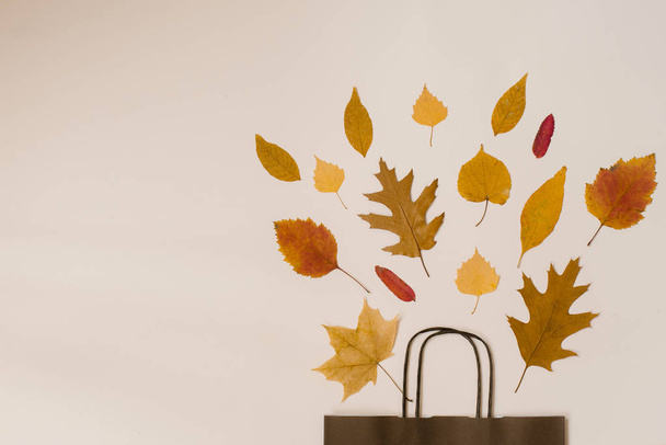 jasny bukiet jesieni opadłych liści w prezent brązowy worek papierowy. Sezonowa Wyprzedaż Jesienna. Kopiuj przestrzeń. Ceny wchodzą - Zdjęcie, obraz