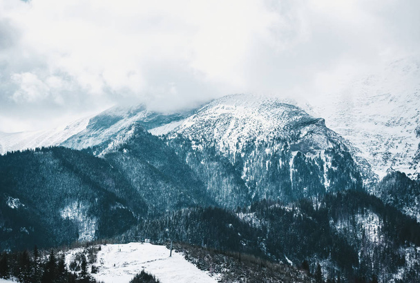 Día de invierno brumoso con nieve pesada en los picos de las montañas de Tatra. Vista panorámica
 - Foto, imagen