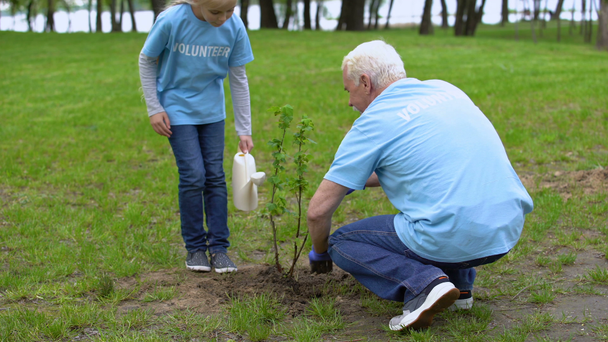 Lány önkéntes öntözés segít nagyapja növény fa, mosolyogva egymást - Felvétel, videó