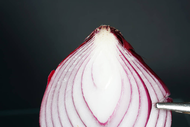 Fresh red onion refines so many dishes in the kitchen - Fotografie, Obrázek