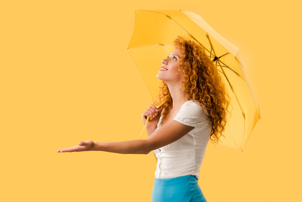 bela ruiva mulher posando com guarda-chuva isolado no amarelo
 - Foto, Imagem