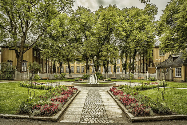 Трондский сад Дворцового сада
 - Фото, изображение