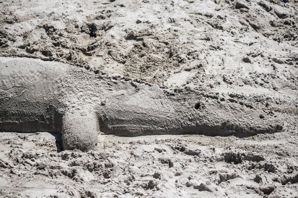 Sand crocodile in a beach of Sardinia - Photo, Image