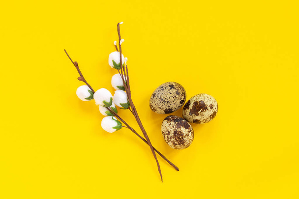 quail eggs and decorative willow branch on yellow paper background in minimal style. - Φωτογραφία, εικόνα