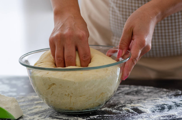 The woman is kneading  the dough. - Zdjęcie, obraz