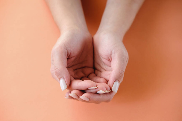 крупным планом женские руки, обрезанные  - Фото, изображение
