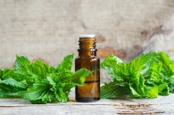 Small bottle with essential mint oil on the old wooden background. Fresh spearmint leaves close up. Aromatherapy, spa and herbal medicine ingredients. Copy space   - Фото, зображення