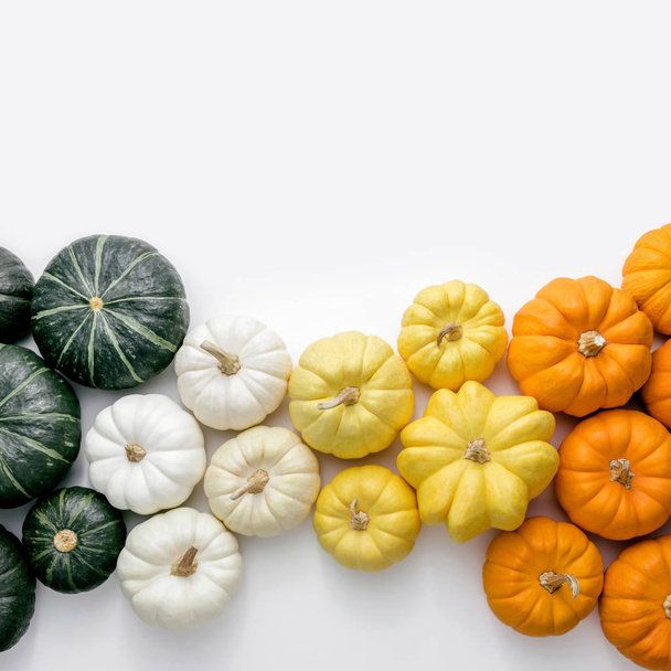 Pumpkin - Фото, изображение