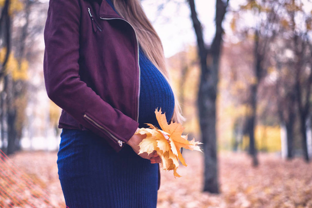 Η κοιλιά μιας εγκύου γυναίκας. Όγδοος μήνας. Μπουκέτο με κίτρινα φύλλα στα χέρια. Φθινοπωρινό πάρκο στο παρασκήνιο - Φωτογραφία, εικόνα