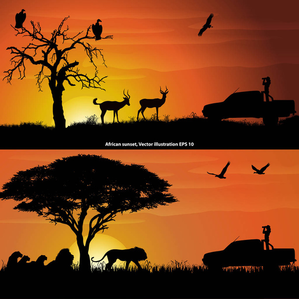 Dvě africké krajiny při západu slunce, s dívkou s dalekohledem, impalami, lvy a ptáky - Vektor, obrázek