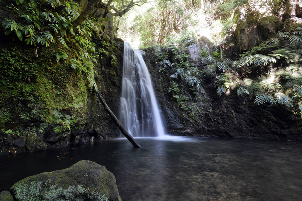 Salto do Prego Cachoeira em São Miguel Nos Açores
 - Foto, Imagem