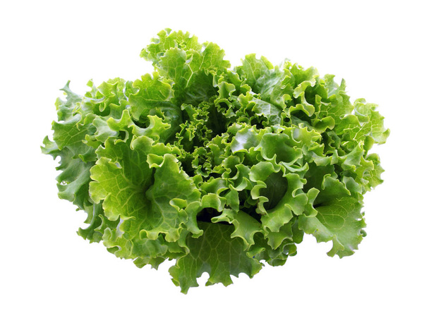 Groene salade geïsoleerd op witte achtergrond                - Foto, afbeelding